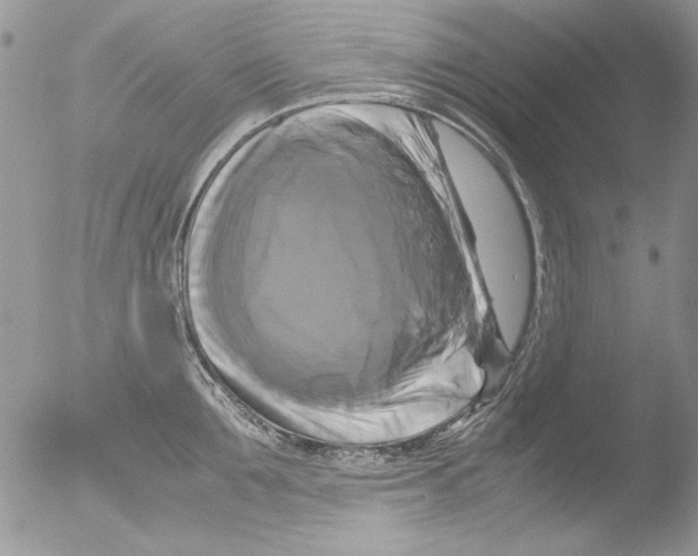 X0000051240907200507152120