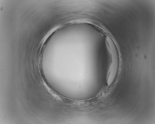 X0000051240909200507152120