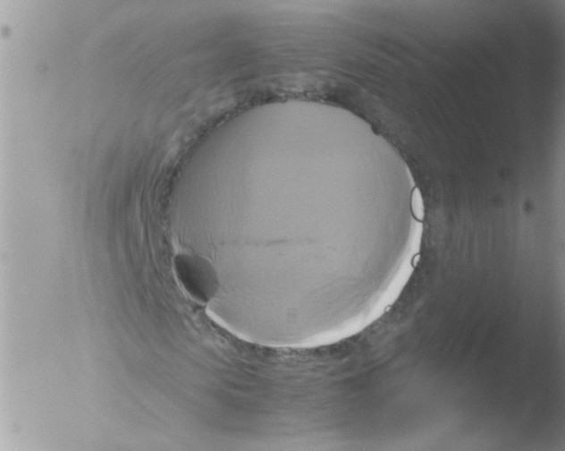 X0000051240913200507152119