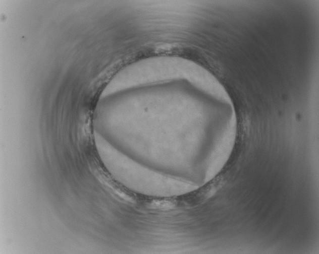 X0000051240914200507152119