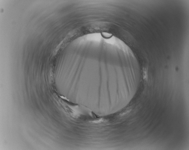 X0000051240915200507152119