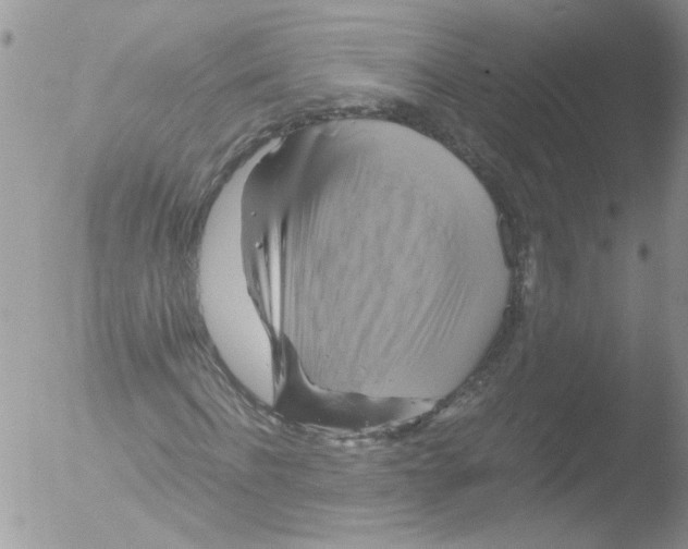 X0000051240916200507152119