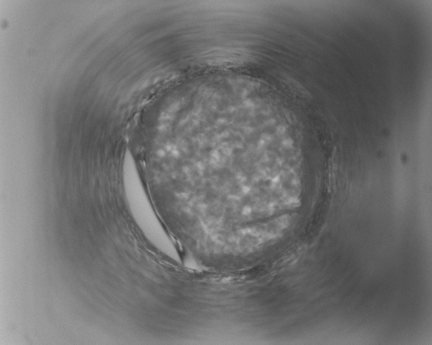 X0000051240917200507152119