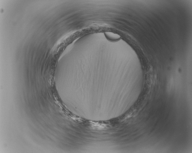 X0000051240919200507152119