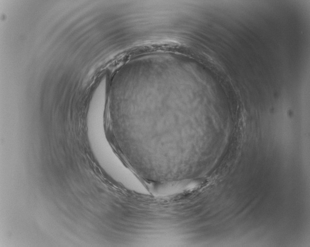 X0000051240920200507152119