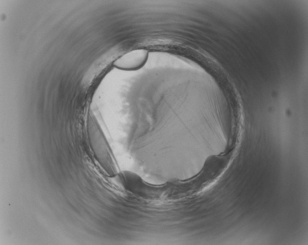 X0000051240921200507152119