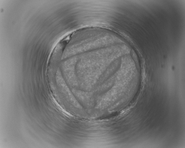 X0000051240924200507152119