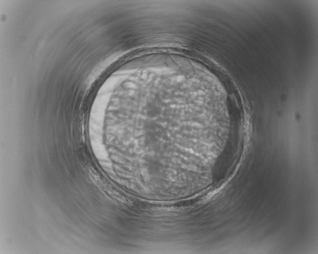 X0000051240925200507152119