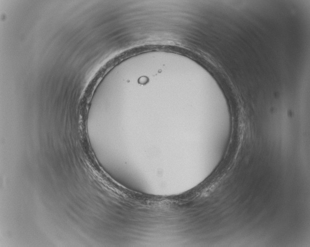 X0000051240926200507152119