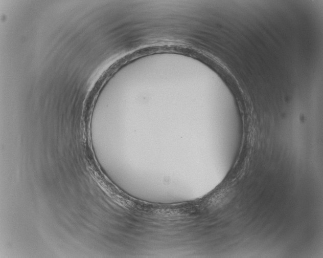 X0000051240927200507152119