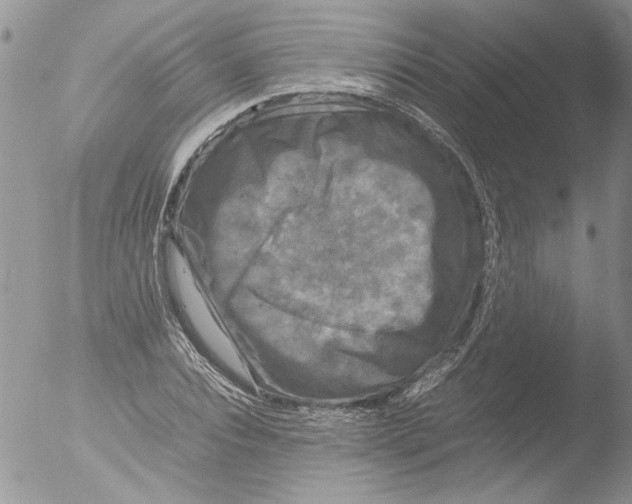 X0000051240928200507152119