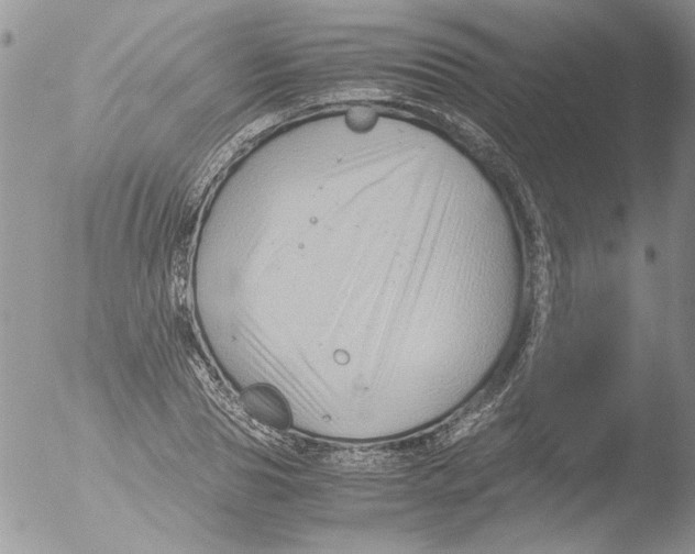 X0000051240929200507152119