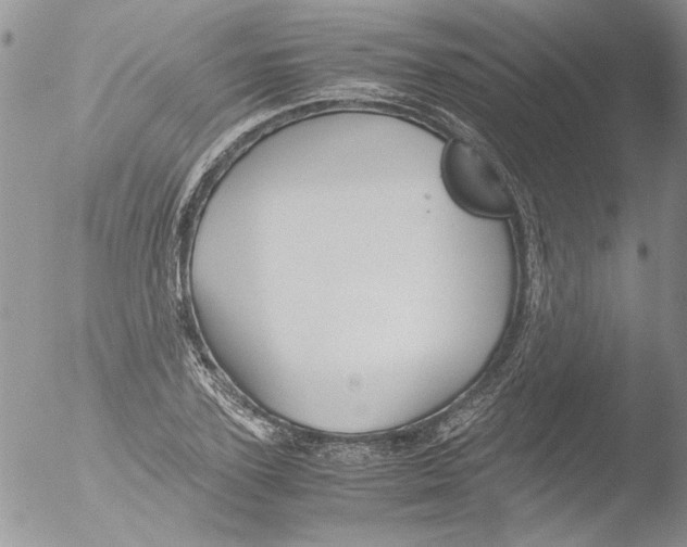 X0000051240931200507152119