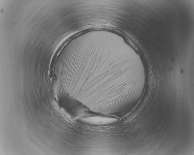 X0000051240932200507152119