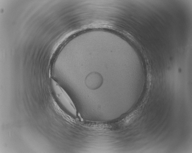 X0000051240934200507152119