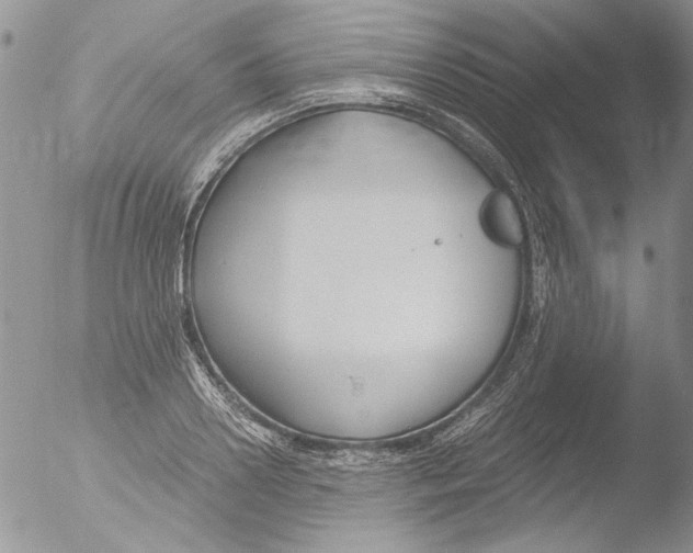 X0000051240938200507152120