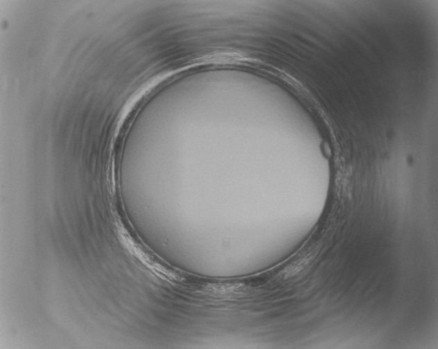 X0000051240939200507152120