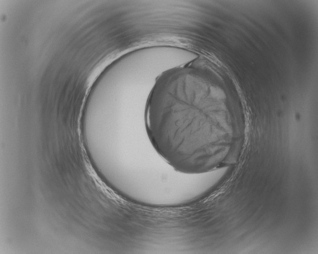 X0000051240944200507152120