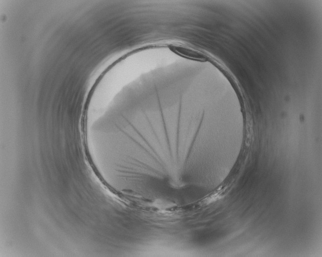 X0000051240959200507152120