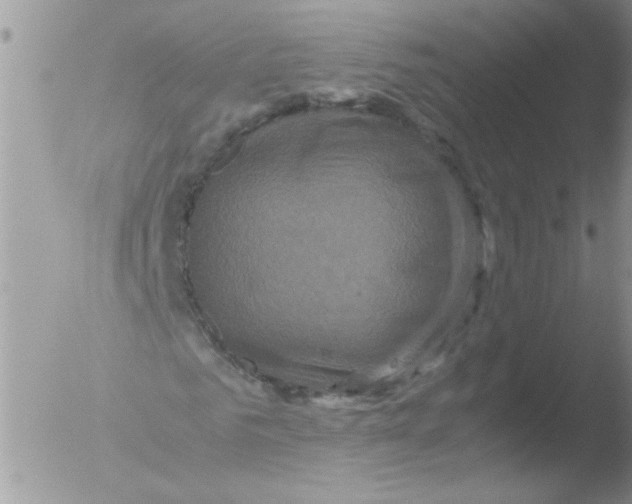 X0000051240961200507152119