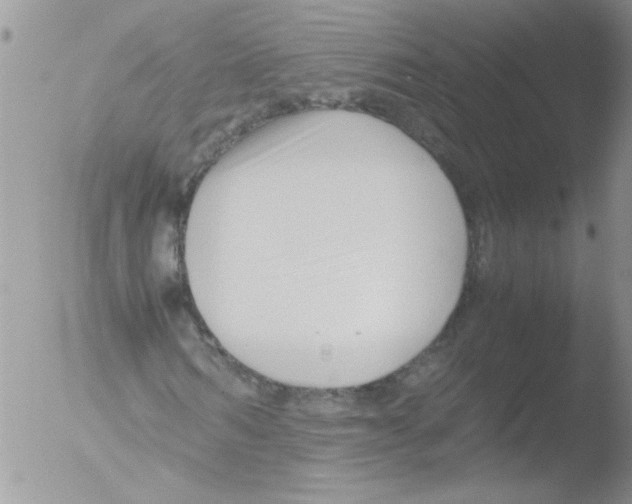 X0000051240962200507152119