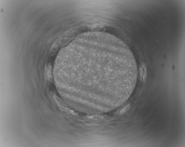 X0000051240963200507152119