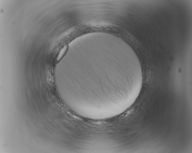 X0000051240966200507152119