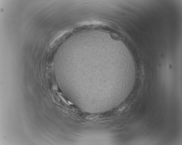 X0000051240967200507152119