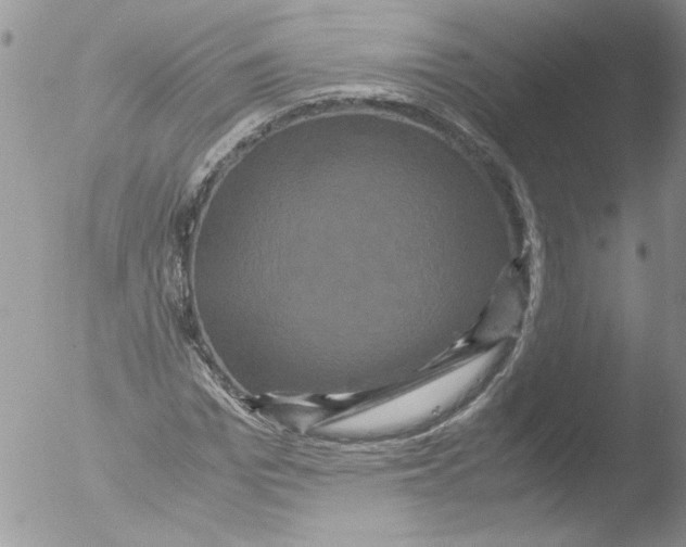 X0000051240969200507152119