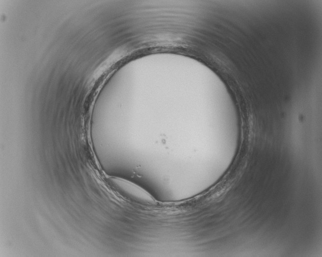 X0000051240970200507152119