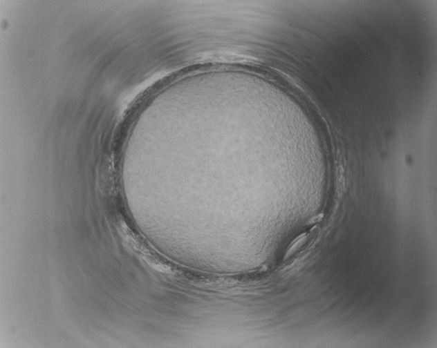 X0000051240971200507152119