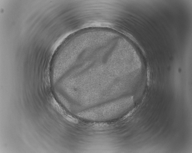 X0000051240972200507152119