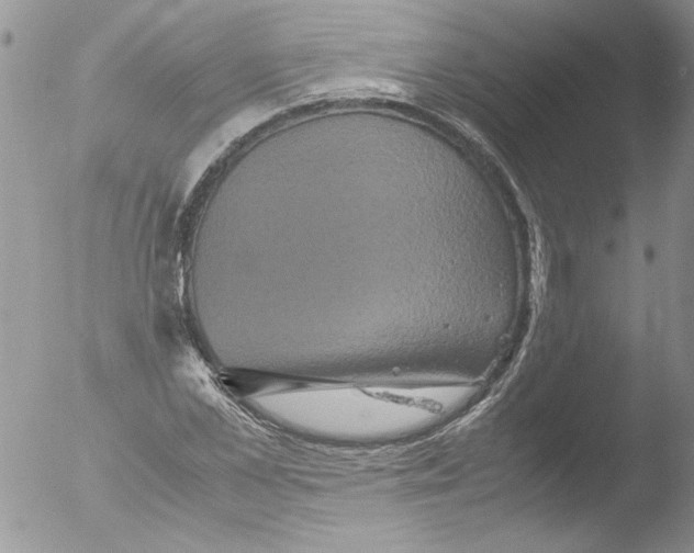 X0000051240973200507152119