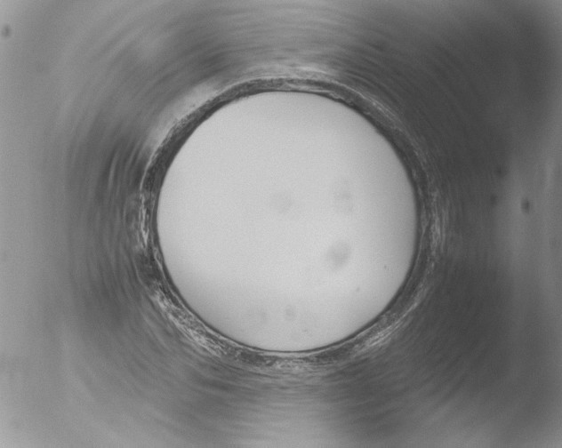 X0000051240974200507152119