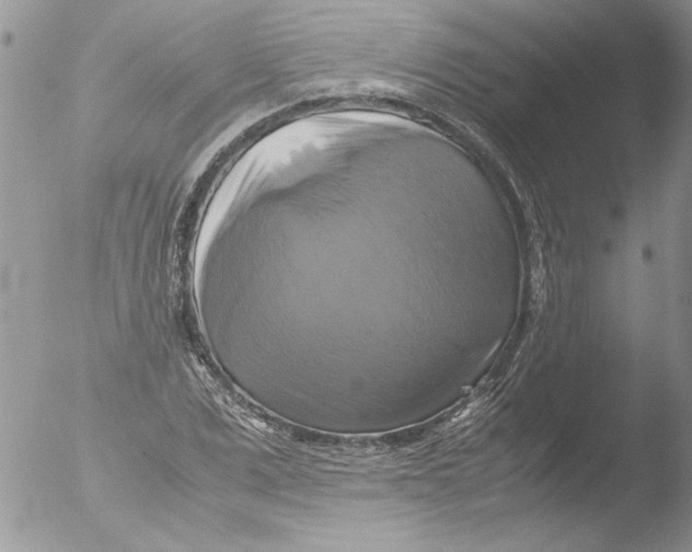 X0000051240975200507152119