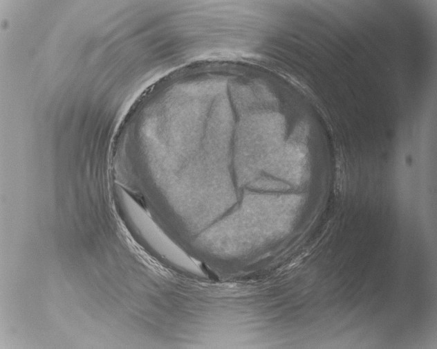 X0000051240976200507152119