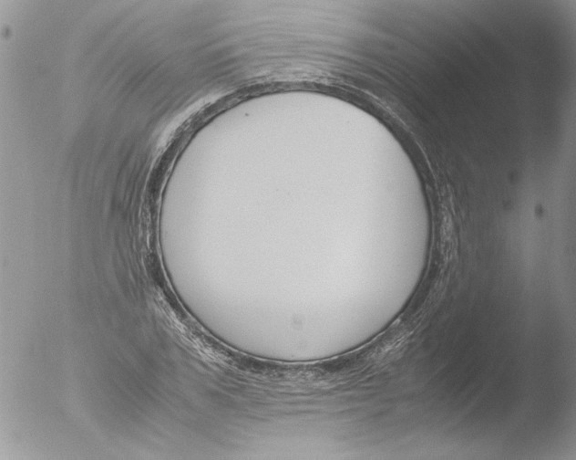 X0000051240979200507152119