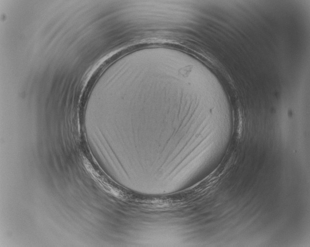 X0000051240980200507152119