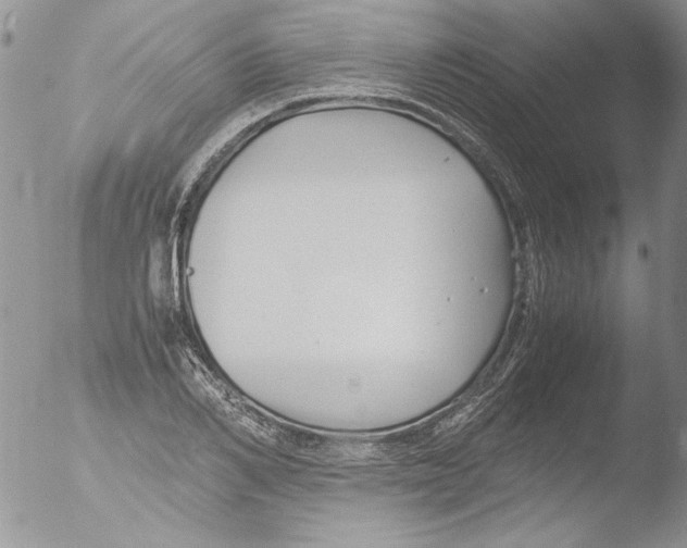 X0000051240982200507152119