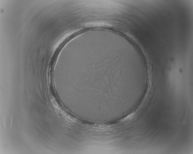 X0000051240983200507152119