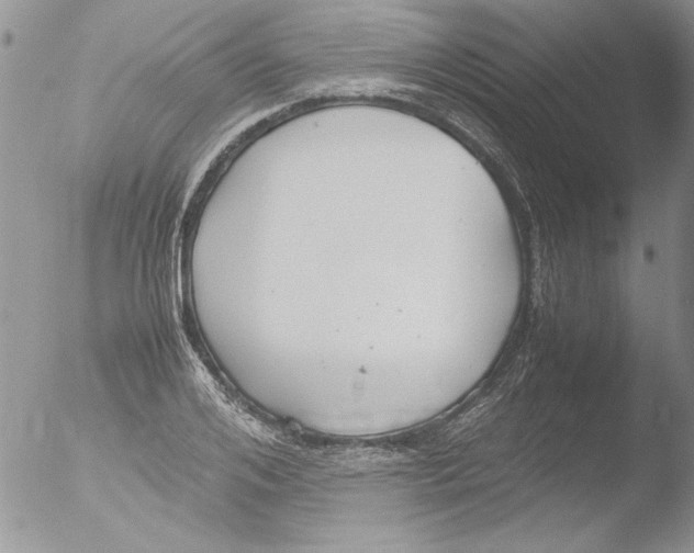 X0000051240984200507152119