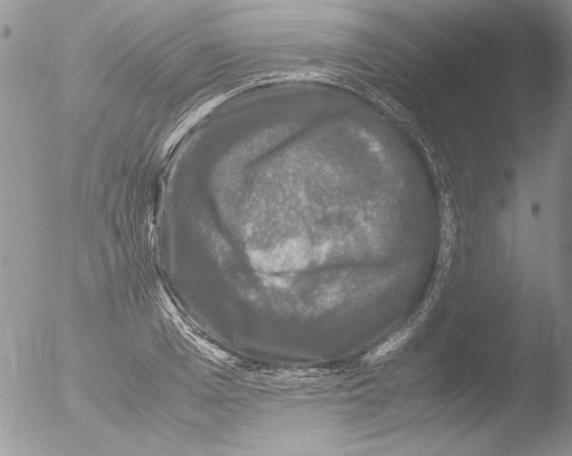 X0000051240985200507152119