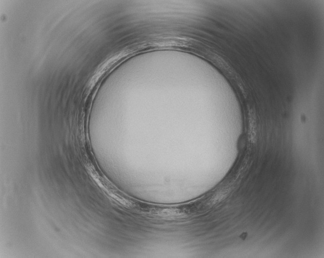 X0000051240986200507152119