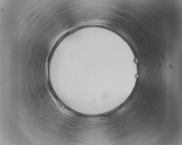 X0000051240988200507152119