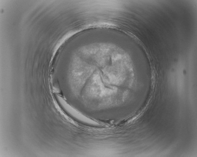 X0000051240989200507152119