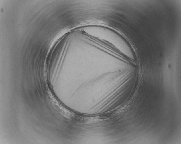 X0000051240990200507152119