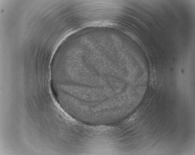 X0000051240992200507152119