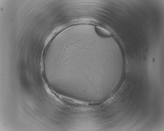 X0000051240994200507152119