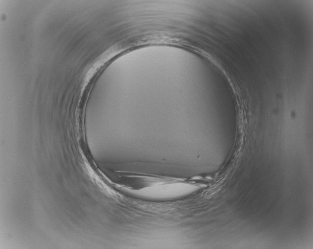 X0000051240995200507152119