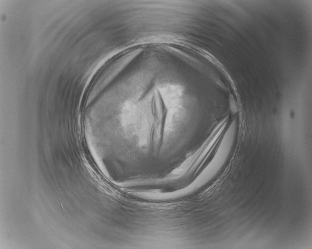 X0000051240996200507152119